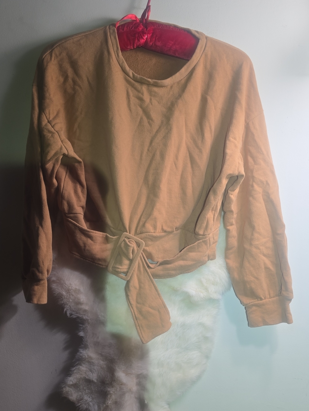 Cropped Tie-Waist Sweatshirt in Camel